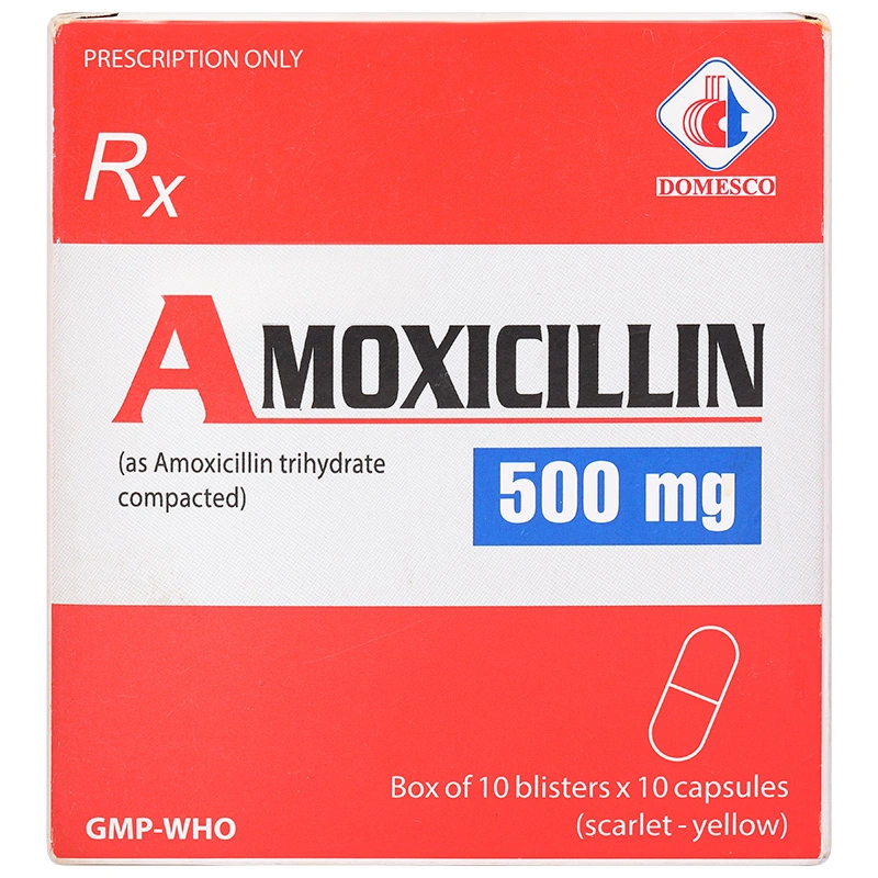 Amoxicillin 500mg điều trị nhiễm khuẩn (10 vỉ x 10 viên) - 2